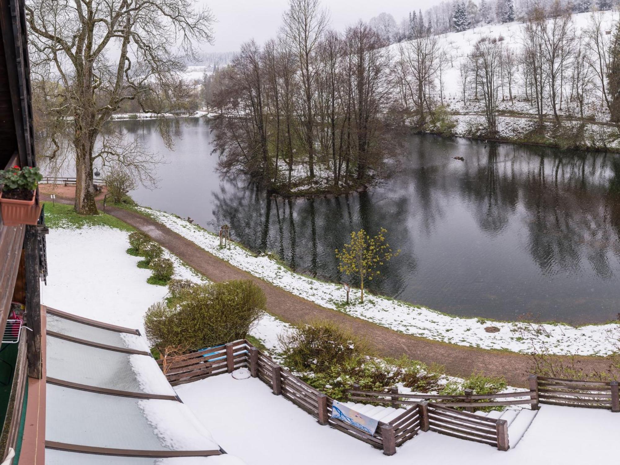 Ferienwohnungen Seeblick Unterkirnach Exterior foto